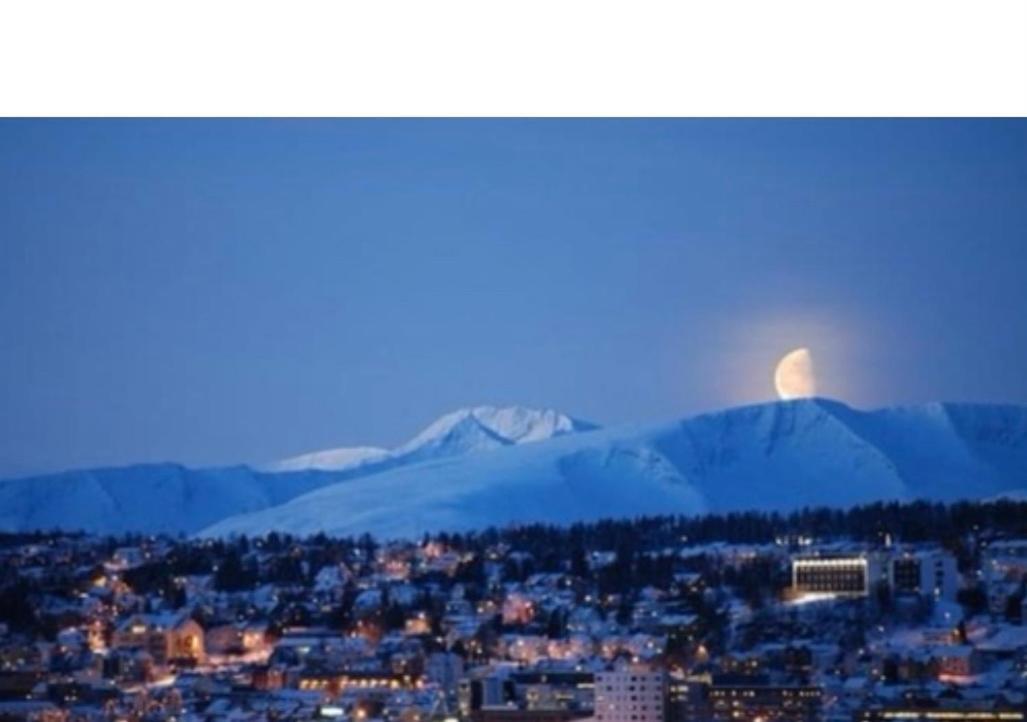 Polar Cozy Apartment - With View And Free Parking Tromsø Eksteriør bilde